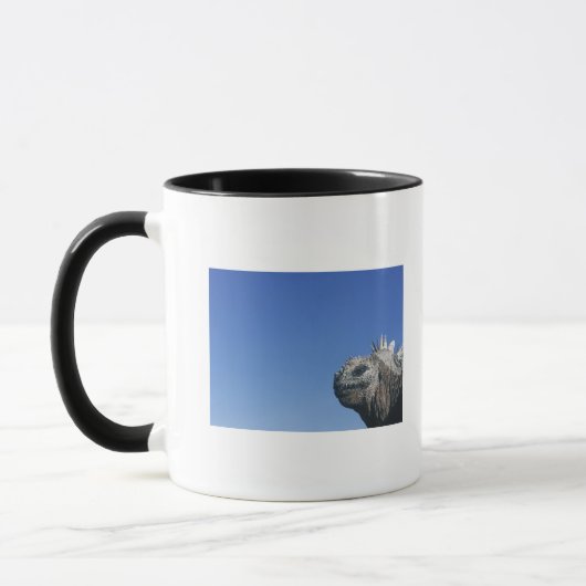 Marineleguan Tasse (Links)