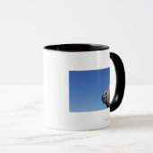 Marineleguan Tasse (VorderseiteRechts)