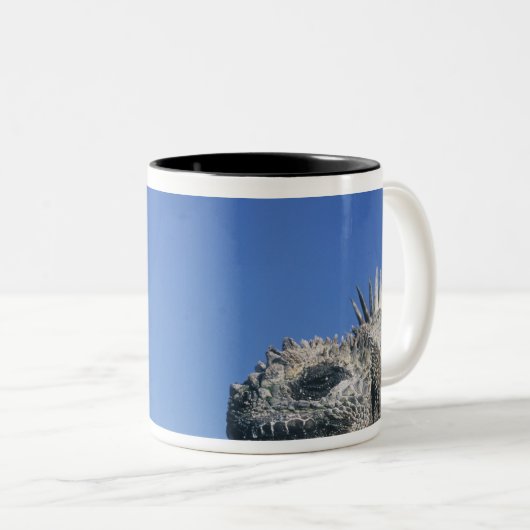 Marineleguan Zweifarbige Tasse (VorderseiteRechts)