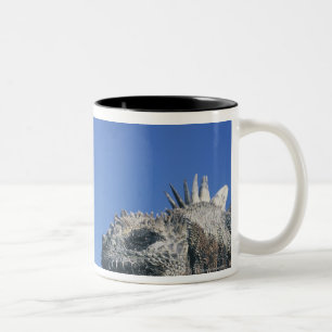 Marineleguan Zweifarbige Tasse