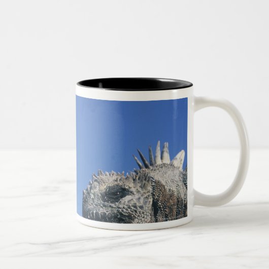 Marineleguan Zweifarbige Tasse (Rechts)