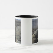 Marines feuern ein Maschinengewehr vom Typ M2 50 Tasse (Zentrum)