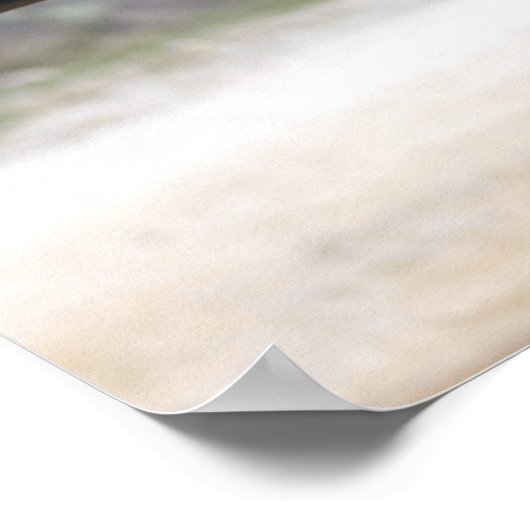 Marines feuern Schusswaffen Poster (Ecke)