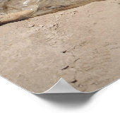 Marines Poster (Ecke)