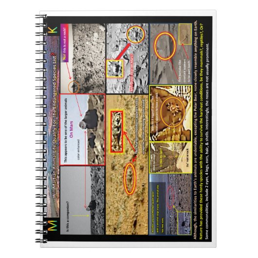 Marinetik Notizblock (Vorderseite)