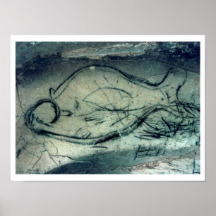 Marinezahl, paläolithischer Zeitraum Poster