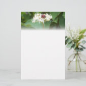 Marinkäfer Briefpapier (Stehend Vorderseite)