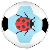 Marinkäfer Fußball (Gedreht)