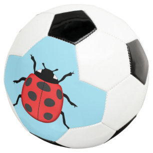 Marinkäfer Fußball