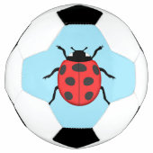 Marinkäfer Fußball (Vorderseite)