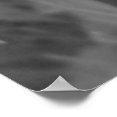 Marinkäfer Poster (Ecke)