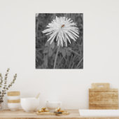 Marinkäfer Poster (Küche)