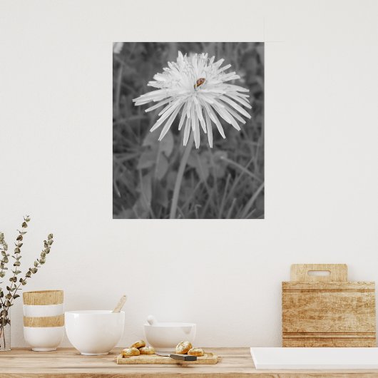 Marinkäfer Poster (Küche)