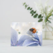 Marinkäfer Postkarte (Stehend Vorderseite)