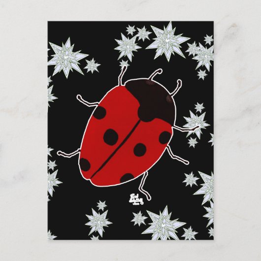 MARINKÄFER POSTKARTE (Vorderseite)