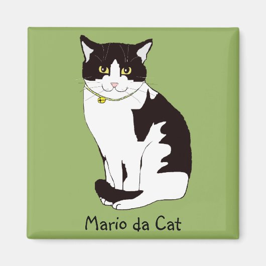 Mario da Cat Magnet (Vorne)