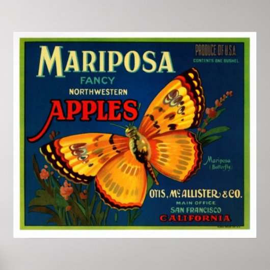 Mariposa Äpfel Poster (Vorne)