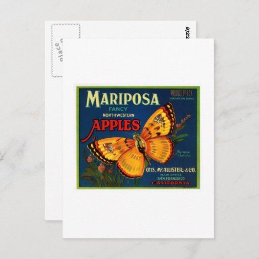 Mariposa Äpfel Postkarte (Vorne/Hinten)