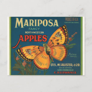 Mariposa-Äpfel Postkarte