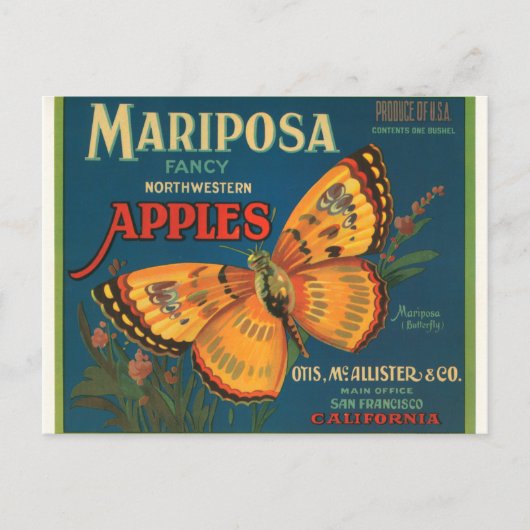 Mariposa-Äpfel Postkarte (Vorderseite)