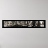 Mariposa Big Tree CA Foto 1906 Poster (Vorne)