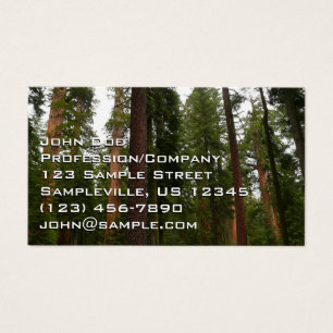 Mariposa Grove im Yosemite National Park