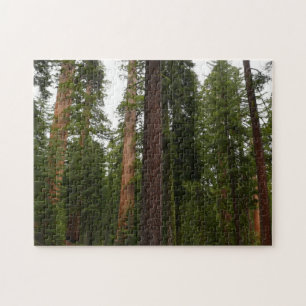 Mariposa Grove im Yosemite National Park Puzzle