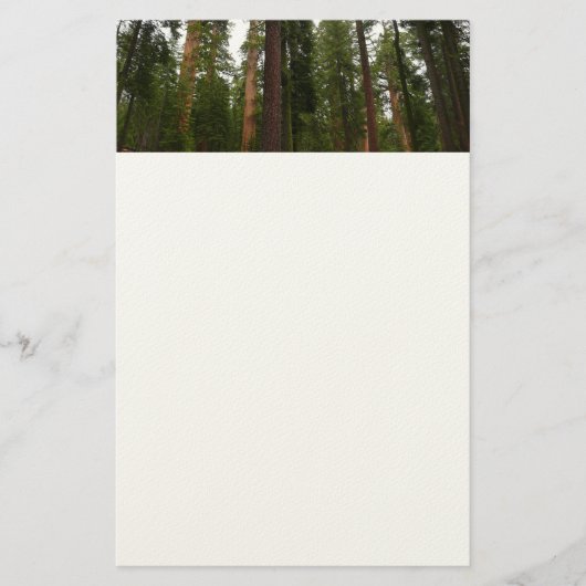 Mariposa Grove im Yosemite-Nationalpark Briefpapier (Vorderseite)