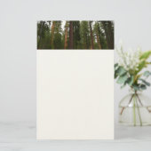 Mariposa Grove im Yosemite-Nationalpark Briefpapier (Stehend Vorderseite)