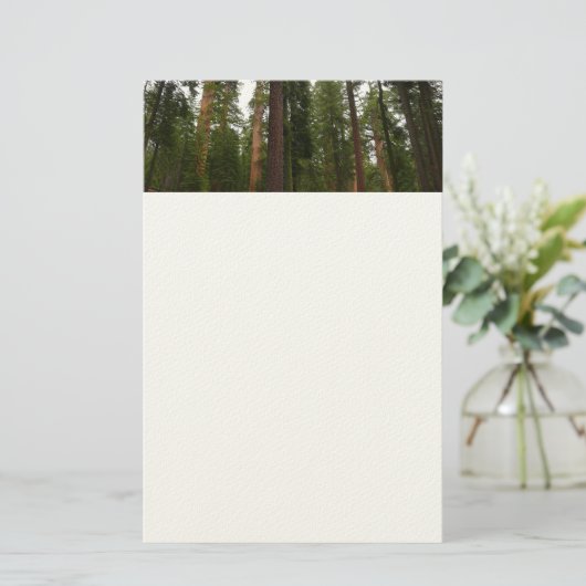 Mariposa Grove im Yosemite-Nationalpark Briefpapier (Stehend Vorderseite)