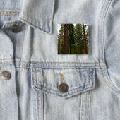 Mariposa Grove im Yosemite-Nationalpark Button (Beispiel)