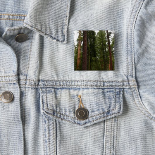 Mariposa Grove im Yosemite-Nationalpark Button (Beispiel)