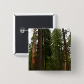 Mariposa Grove im Yosemite-Nationalpark Button (Vorne & Hinten)