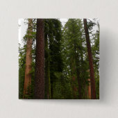 Mariposa Grove im Yosemite-Nationalpark Button (Vorderseite)