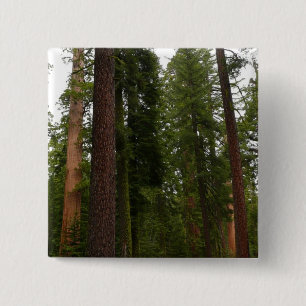 Mariposa Grove im Yosemite-Nationalpark Button