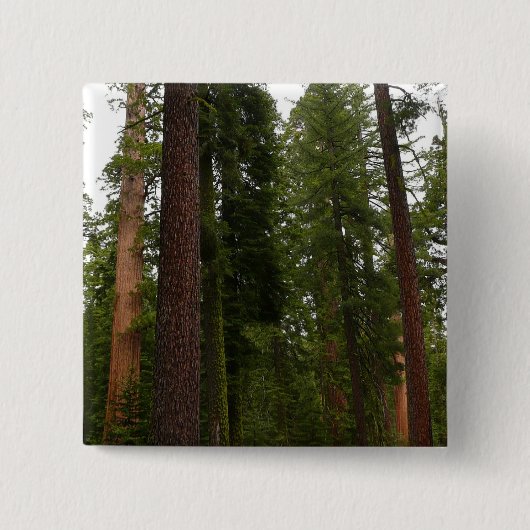 Mariposa Grove im Yosemite-Nationalpark Button (Vorderseite)
