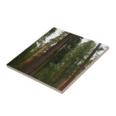 Mariposa Grove im Yosemite-Nationalpark Fliese (Seite)