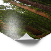 Mariposa Grove im Yosemite-Nationalpark Fotodruck (Ecke)