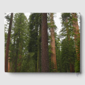 Mariposa Grove im Yosemite-Nationalpark Gästebuch (Rückseite)