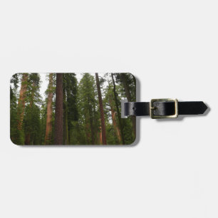 Mariposa Grove im Yosemite-Nationalpark Gepäckanhänger