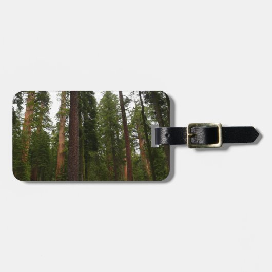 Mariposa Grove im Yosemite-Nationalpark Gepäckanhänger (Vorderseite horizontal)