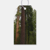 Mariposa Grove im Yosemite-Nationalpark Geschenkanhänger (Vorderseite)