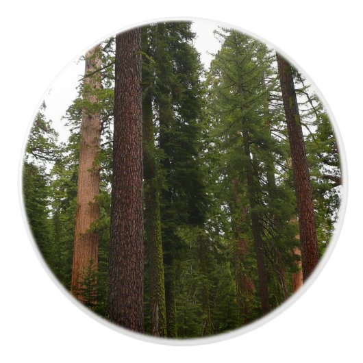 Mariposa Grove im Yosemite-Nationalpark Keramikknauf (Vorderseite)