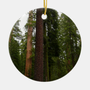 Mariposa Grove im Yosemite-Nationalpark Keramikornament