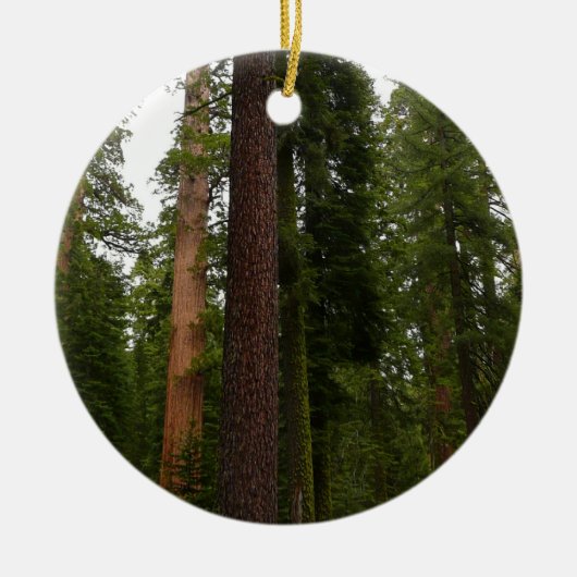 Mariposa Grove im Yosemite-Nationalpark Keramikornament (Vorne)