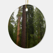Mariposa Grove im Yosemite-Nationalpark Keramikornament (Links)