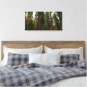 Mariposa Grove im Yosemite-Nationalpark Leinwanddruck (Insitu (Schlafzimmer))