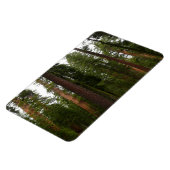 Mariposa Grove im Yosemite-Nationalpark Magnet (Linke Seite)