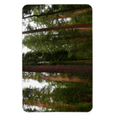 Mariposa Grove im Yosemite-Nationalpark Magnet (Vertikal)