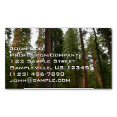 Mariposa Grove im Yosemite-Nationalpark Magnetische Visitenkarte (Vorderseite)